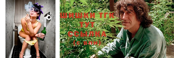 шишки Балабаново