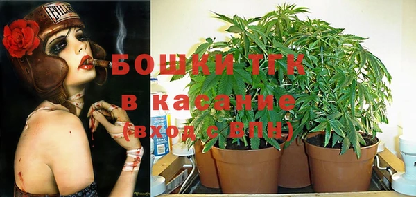 герыч Арсеньев