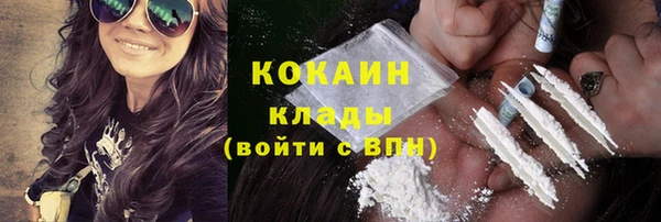 шишки Балабаново
