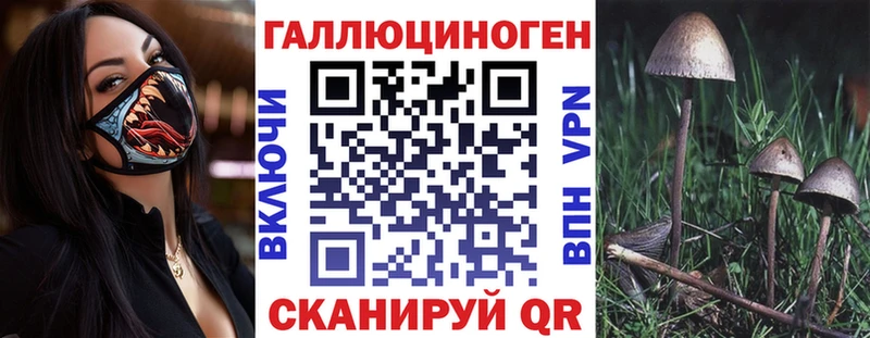blacksprut ССЫЛКА  Чернушка  Псилоцибиновые грибы ЛСД 