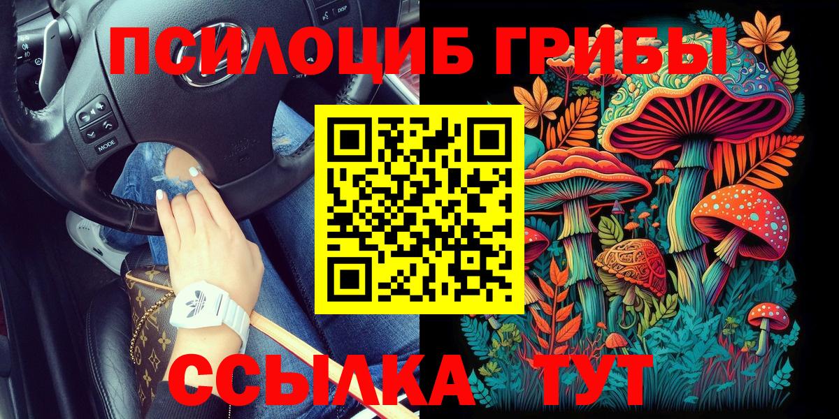 Галлюциногенные грибы мухоморы  Вход с VPN  Галлюциногенные грибы Psilocybine cubensis  Чернушка 