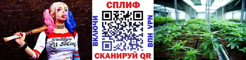 даркнет сайт  Чернушка  Канабис сатива 